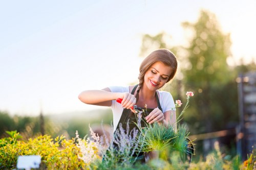 Exterior photo representing lawn care services in Erith with mower in a garden