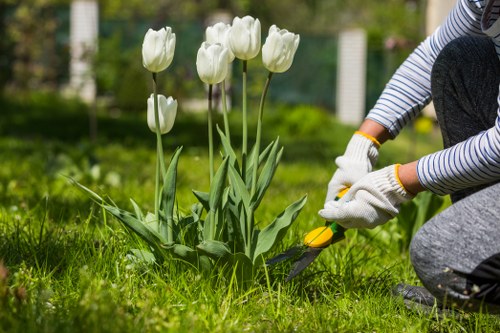 Operative preparing mower for grass cutting in a residential lawn