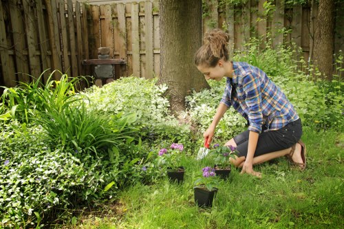 Gardener edging a lawn near a terraced house in Erith