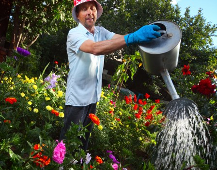 A middle-aged man wearing a light blue shirt, blue gardening gloves, and a wide-brimmed hat is watering plants in a lush, well-maintained garden. The garden features a variety of colorful flowers, including red, pink, purple, and yellow blooms, arranged in flower beds bordered by shrubs and greenery. Behind him, there are tall trees and a neatly trimmed hedge, creating a natural backdrop. The man is standing on a paved pathway adjacent to a dense lawn with evenly cut grass, while he uses a black garden watering can to pour water onto the plants. The scene is illuminated by natural daylight, suggesting a clear, sunny day, highlighting the vibrant colors of the garden and the fresh, healthy appearance of the foliage. This outdoor space exemplifies a well-kept garden that benefits from professional lawn care and gardening services, such as those offered by Lawn Mowing Erith, ensuring lush lawns and vibrant floral displays typical of gardens in the Erith area, with the postcode likely in the lower Thames region.