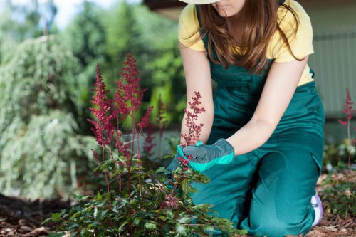 A woman wearing teal gardening gloves and a teal apron is kneeling in a backyard garden, tending to a flower bed that contains a variety of plants, including tall, pink, cone-shaped flowers and low-growing green foliage. The garden features a well-maintained lawn with lush, dense grass in the foreground, bordered by soil beds and decorative plants. In the background, there are trees and shrubs, partially shaded by an outdoor structure or patio cover, with a hedge or boundary fence visible. The scene appears to be on a clear day with natural lighting, highlighting the vibrant colors of the plants. This setting reflects typical outdoor gardening activities in Erith, emphasizing the importance of lawn care and plant maintenance services provided by companies like Lawn Mowing Erith, tailored to residential gardens and landscaped areas around the London Borough of Bexley postcode area.
