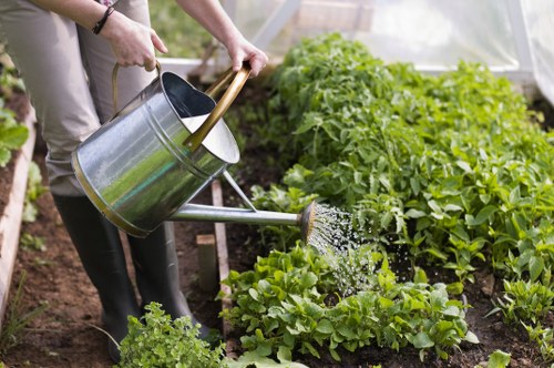 A gardener watering a lush vegetable garden inside a greenhouse or polytunnel, with rows of green leafy plants such as lettuce, herbs, and possibly young vegetable plants, arranged in neat, parallel lines. The gardener is holding a silver metal watering can with a wooden handle, pouring water directly onto the plants, which are vibrant and well-maintained. In the background, the greenhouse structure with translucent panels allows natural light to illuminate the space, creating a bright and healthy environment suitable for gardening and outdoor maintenance services in Erith or the surrounding areas. The soil appears dark and fertile, supporting healthy plant growth, while the overall setting emphasizes careful gardening, nurturing, and landscape upkeep relevant to professional lawn and garden care in the UK.